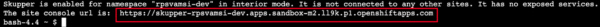 The console URL to copy.